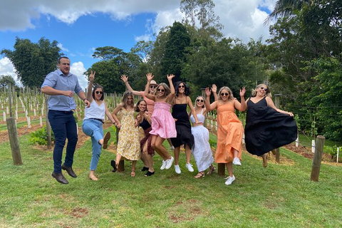 Deluxe Wine Tasting Tour Mt Tamborine Includes 2 Course Lunch - Accommodation Gold Coast 11