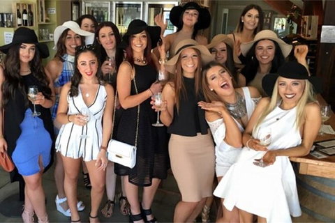 Deluxe Wine Tasting Tour Mt Tamborine Includes 2 Course Lunch - Accommodation Gold Coast 13