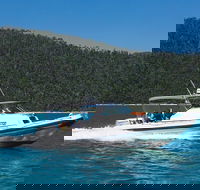 Private Standard Charter Experience in Whitsundays - Accommodation Gold Coast