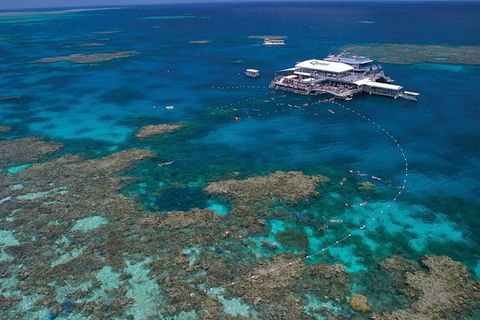 Ultimate 3-Day Great Barrier Reef Cruise Pass - Accommodation Gold Coast 2