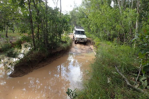 Cairns 4WD Waterfall And Rainforest Tour Including Kuranda Scenic Railway - Accommodation Gold Coast 3