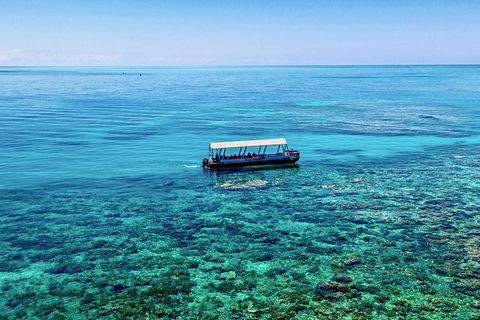 2-Day Great Barrier Reef Combo: Green Island Sailing And Outer Reef Snorkel Cruise - Accommodation Gold Coast 5