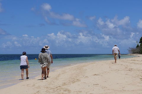 2-Day Great Barrier Reef Combo: Green Island Sailing And Outer Reef Snorkel Cruise - Accommodation Gold Coast 7