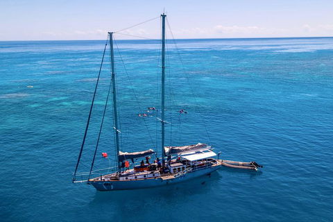 2-Day Great Barrier Reef Combo: Green Island Sailing And Outer Reef Snorkel Cruise - Accommodation Gold Coast 4