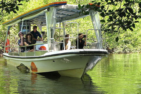 6-Day Best Of Cairns Including The Great Barrier Reef, Kuranda And The Daintree Rainforest - Accommodation Gold Coast 3