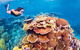 6-Day Best Of Cairns Including The Great Barrier Reef, Kuranda And The Daintree Rainforest - thumb 0
