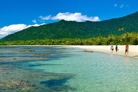 6-Day Best Of Cairns Including The Great Barrier Reef, Kuranda And The Daintree Rainforest - Accommodation Gold Coast 4