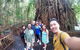 6-Day Best Of Cairns Including The Great Barrier Reef, Kuranda And The Daintree Rainforest - thumb 5