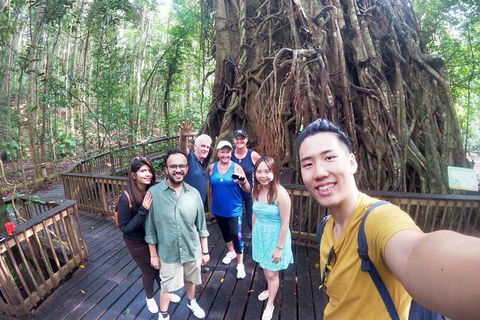 6-Day Best Of Cairns Including The Great Barrier Reef, Kuranda And The Daintree Rainforest - Accommodation Gold Coast 5
