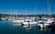 6-Day Best Of Cairns Including The Great Barrier Reef, Kuranda And The Daintree Rainforest - thumb 2