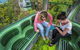 6-Day Best Of Cairns Including The Great Barrier Reef, Kuranda And The Daintree Rainforest - thumb 1