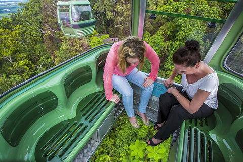 6-Day Best Of Cairns Including The Great Barrier Reef, Kuranda And The Daintree Rainforest - Accommodation Gold Coast 1