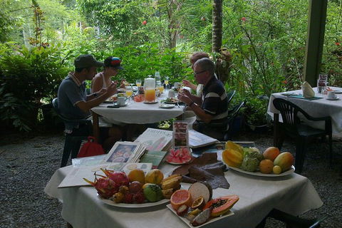 6-Day Best Of Cairns Including The Great Barrier Reef, Kuranda And The Daintree Rainforest - Accommodation Gold Coast 6