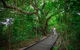 3-Day Green Island Great Barrier Reef Package From Cairns - thumb 6