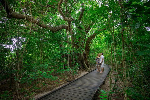 3-Day Green Island Great Barrier Reef Package From Cairns - Accommodation Gold Coast 6