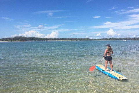 Early Morning Weekend Paddleboard Special - Accommodation Gold Coast 4