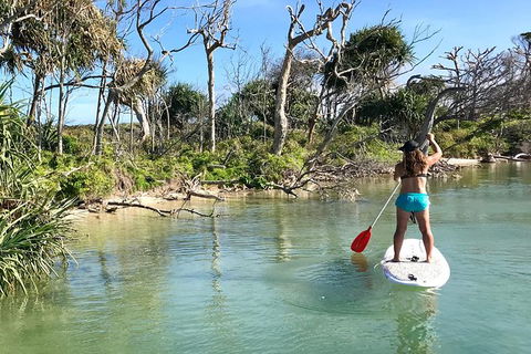 Early Morning Weekend Paddleboard Special - Accommodation Gold Coast 5