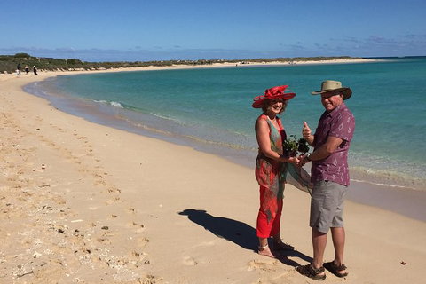 Elope In Paradise - Weddings At Mission Beach - Accommodation Gold Coast 6