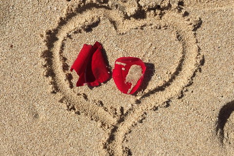 Elope In Paradise - Weddings At Mission Beach - Accommodation Gold Coast 3