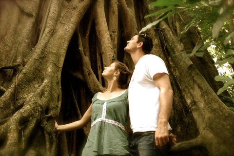 Daintree And Cape Tribulation Full Day Guided Tour - Accommodation Gold Coast 0