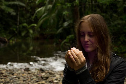 Daintree And Cape Tribulation Full Day Guided Tour - Accommodation Gold Coast 4