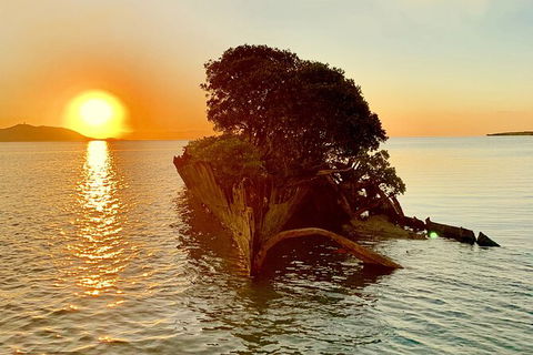 Aquascene Magnetic Island Sunset & Shipwreck Tour - Accommodation Gold Coast 3