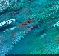 Premium Private Charter - Accommodation Gold Coast