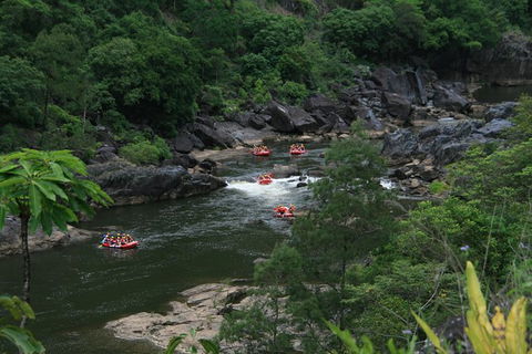 Cairns Adventure Package- 4 Tours In 3 Days! - Accommodation Gold Coast 3