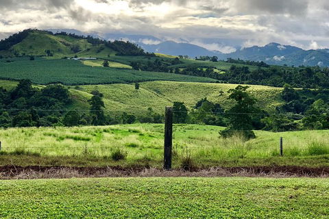 Tableland Tasting Tour - Accommodation Gold Coast 0