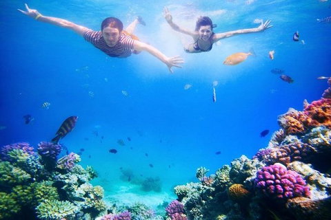 Adventure Fishing Combo Day - Fish, Swim, Whitehaven, Hill Inlet Bush Walking - 1 Gold Coast 5