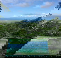 Daintree Luxury Limousine Tour - Full Day - Accommodation Gold Coast