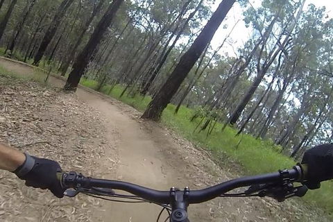 EMtn Bike + Brewery Day Tour - Accommodation Gold Coast 6