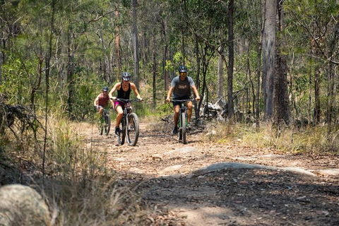 EMtn Bike + Brewery Day Tour - Accommodation Gold Coast 21