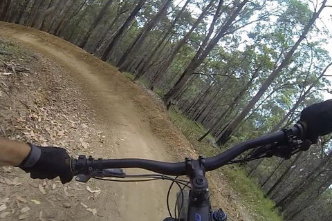 EMtn Bike + Brewery Day Tour - Accommodation Gold Coast 2