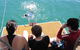Sailing Curlew Escape On Moreton Bay - thumb 12