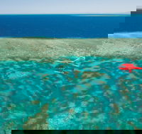 Cruise to Outer Reef - Cruise Return Plus 10 Minute Scenic Flight - Accommodation Gold Coast