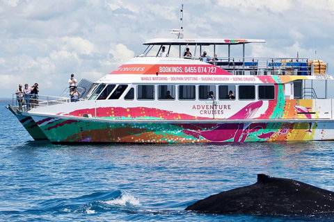Half-Day Whale Watching In Urangan - 1 Gold Coast 1