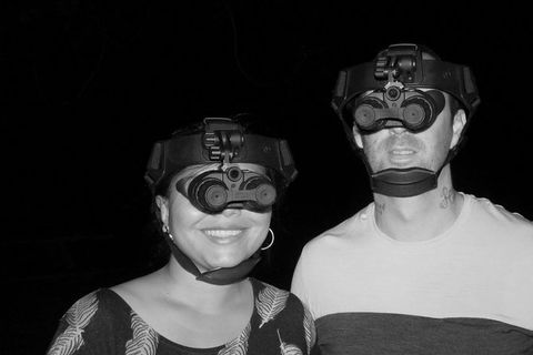 Nature By Night - Accommodation Gold Coast 1