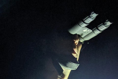 Nature By Night - Accommodation Gold Coast 3