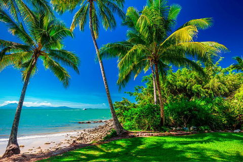 SHUTTLE - Port Douglas And Craiglie Return Transfer - Accommodation Gold Coast 2