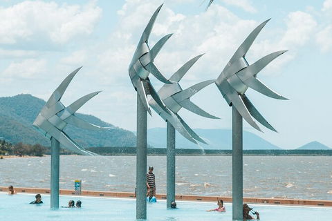 Cairns Airport Private Chater Transfer - Accommodation Gold Coast 4