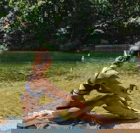 Private Waterfall and Rainforest Day Tour - Accommodation Gold Coast