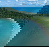 2-Day Great Barrier Reef and Daintree Rainforest Combo Package - Accommodation Gold Coast