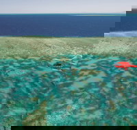 Day Tour to Kuranda Rainforest and Port Douglas with Flight - 1 Gold Coast