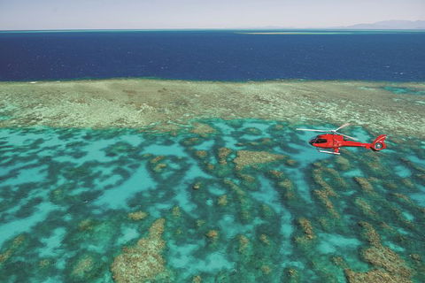 Day Tour To Kuranda, Rainforest And Port Douglas With Flight - Accommodation Gold Coast 0