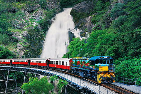 Day Tour To Kuranda, Rainforest And Port Douglas With Flight - Accommodation Gold Coast 4