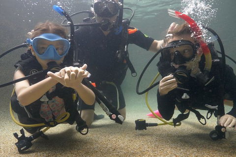 Scuba Kids- Padi Bubblemaker Course - Accommodation Gold Coast 4