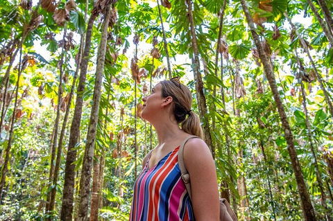 5 Day Australia Retreat: Queensland Daintree - Accommodation Gold Coast 3