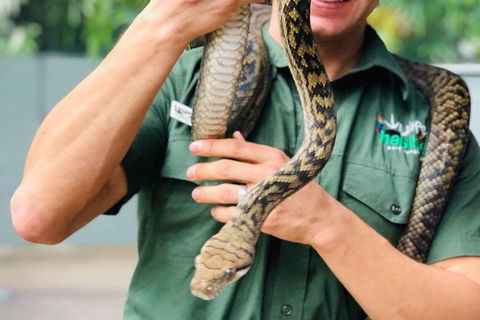 Virtual Interactive Australian Wildlife Tour With Private Guide-Wildlife Habitat - Accommodation Gold Coast 3