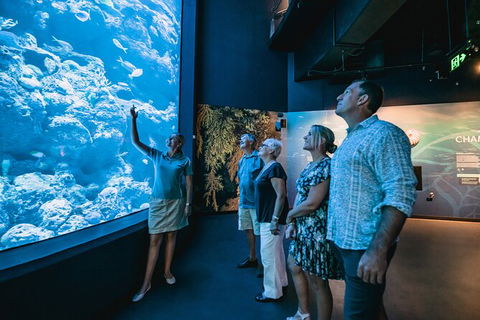 Cairns Aquarium By Twilight With 3 Course Dinner - Accommodation Gold Coast 0